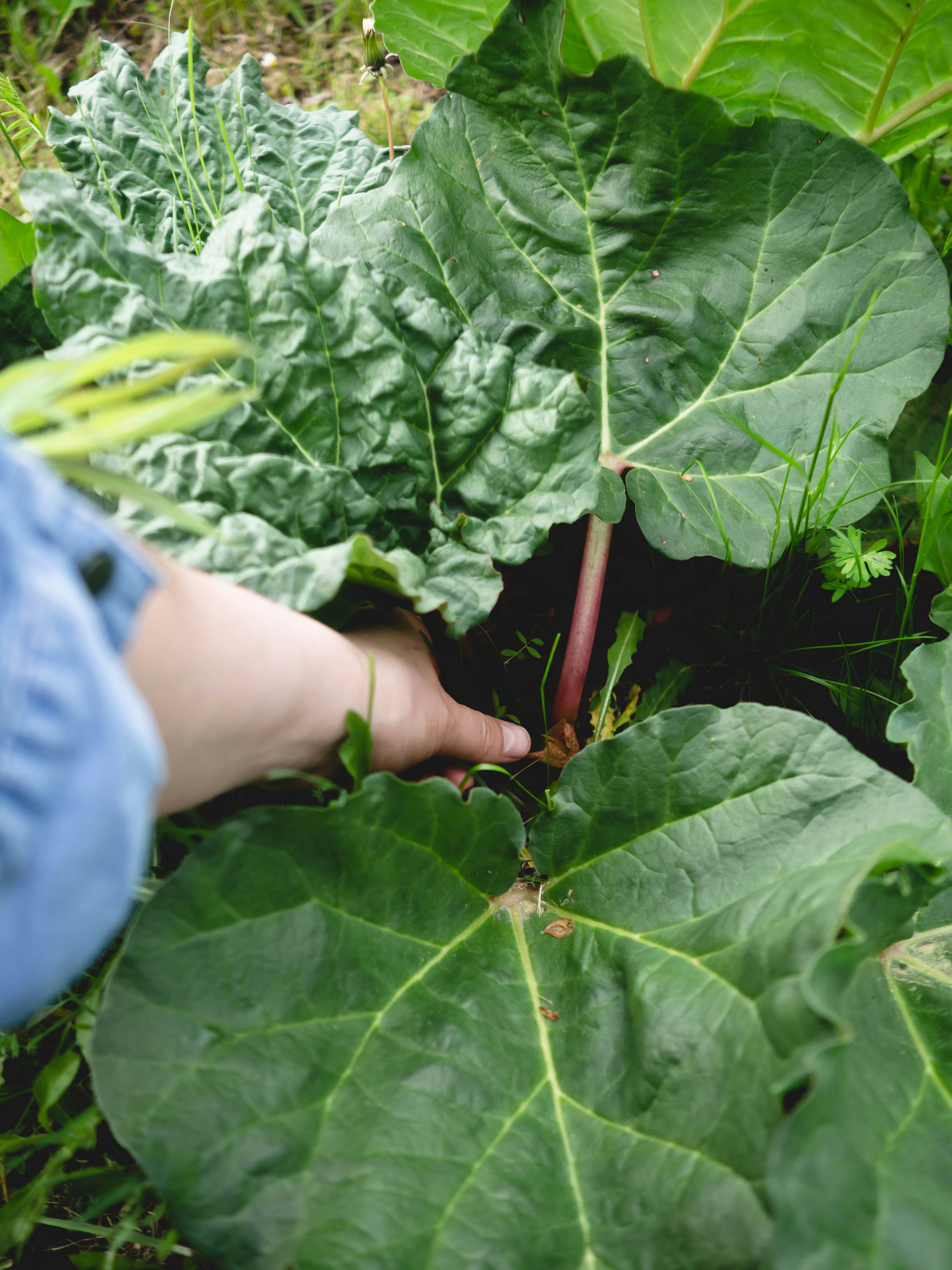 Photo by eileen_kummer