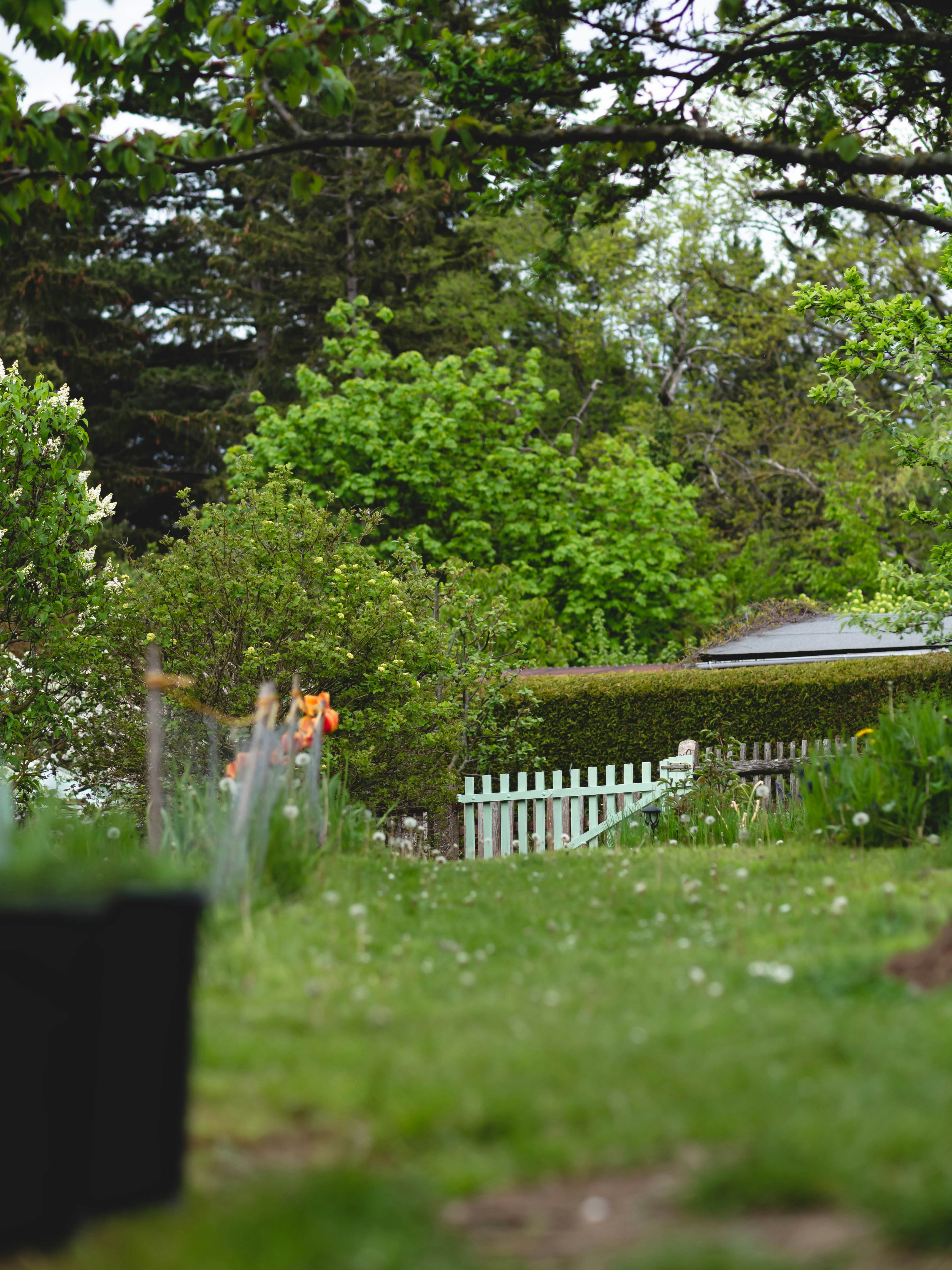 Photo by eileen_kummer