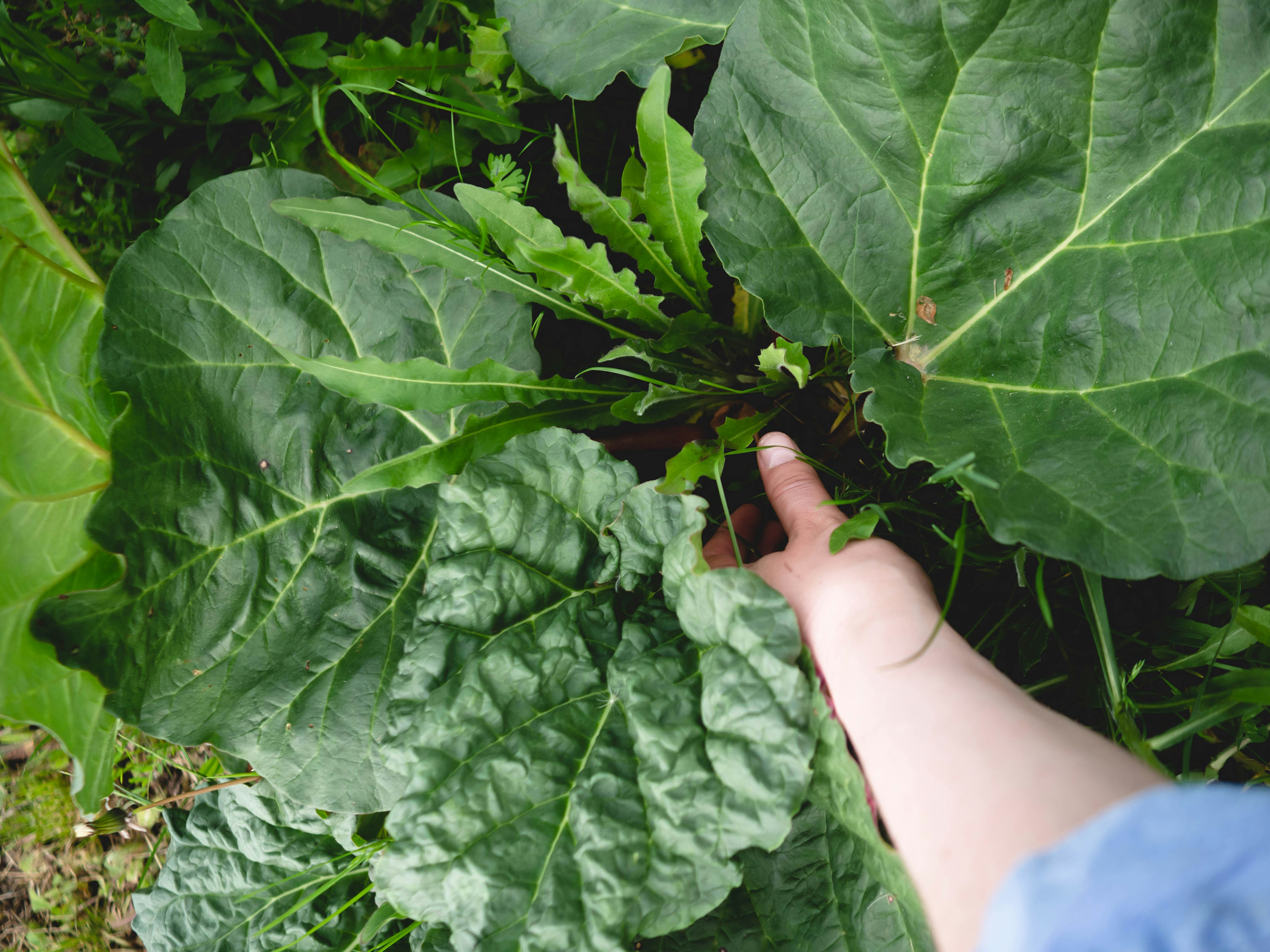 Photo by eileen_kummer