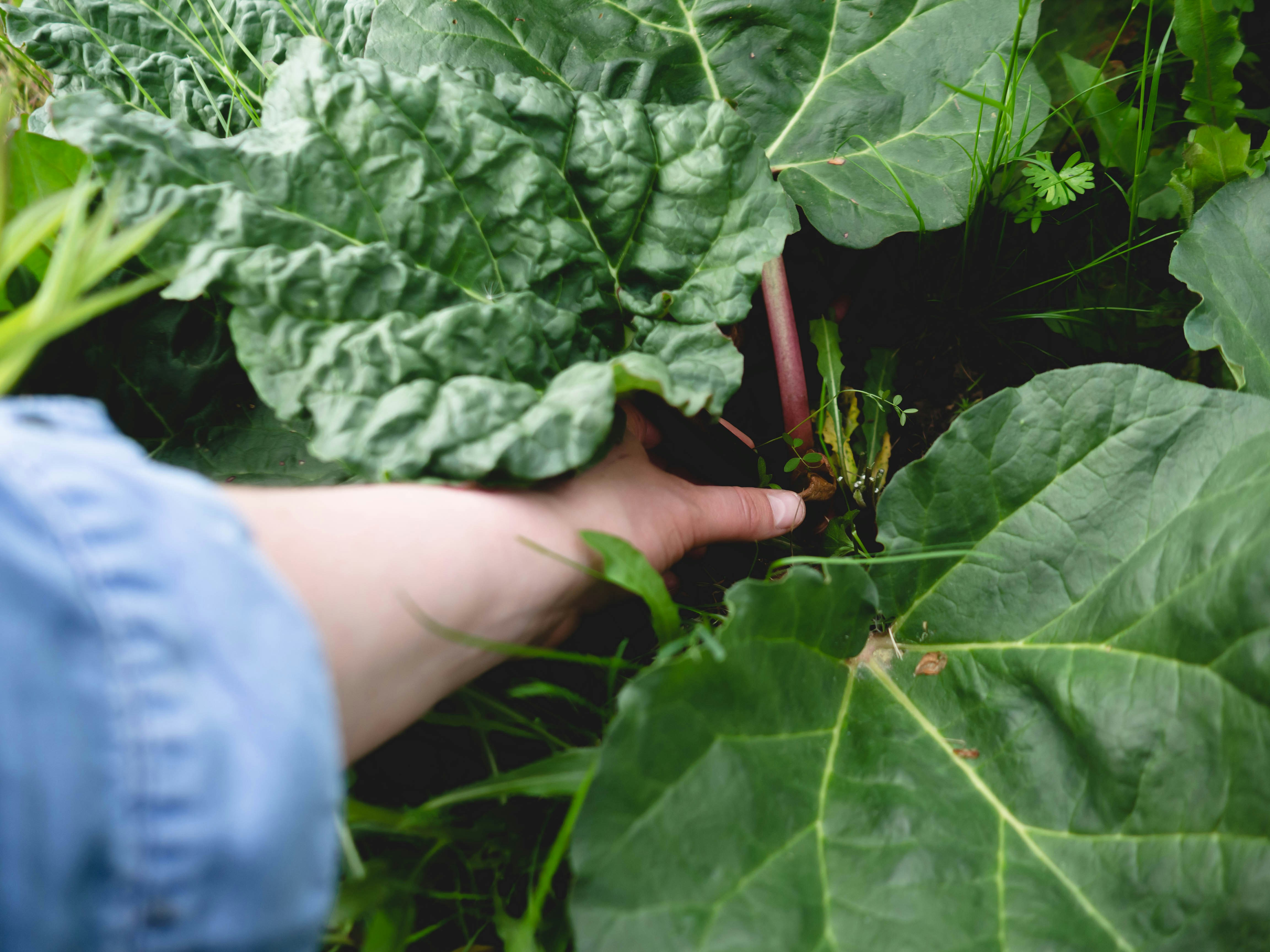 Photo by eileen_kummer