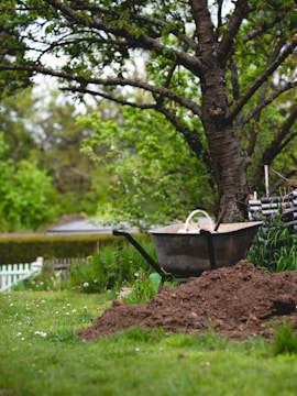 A garden setting with a large tree in the background. In the foreground, a pile of soil is next to a wheelbarrow filled with sand or soil. There is greenery all around, including grass and plants, with a white picket fence visible in the distance.