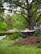 A garden setting with a large tree in the background. In the foreground, a pile of soil is next to a wheelbarrow filled with sand or soil. There is greenery all around, including grass and plants, with a white picket fence visible in the distance.