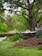 A garden setting with a large tree in the background. In the foreground, a pile of soil is next to a wheelbarrow filled with sand or soil. There is greenery all around, including grass and plants, with a white picket fence visible in the distance.