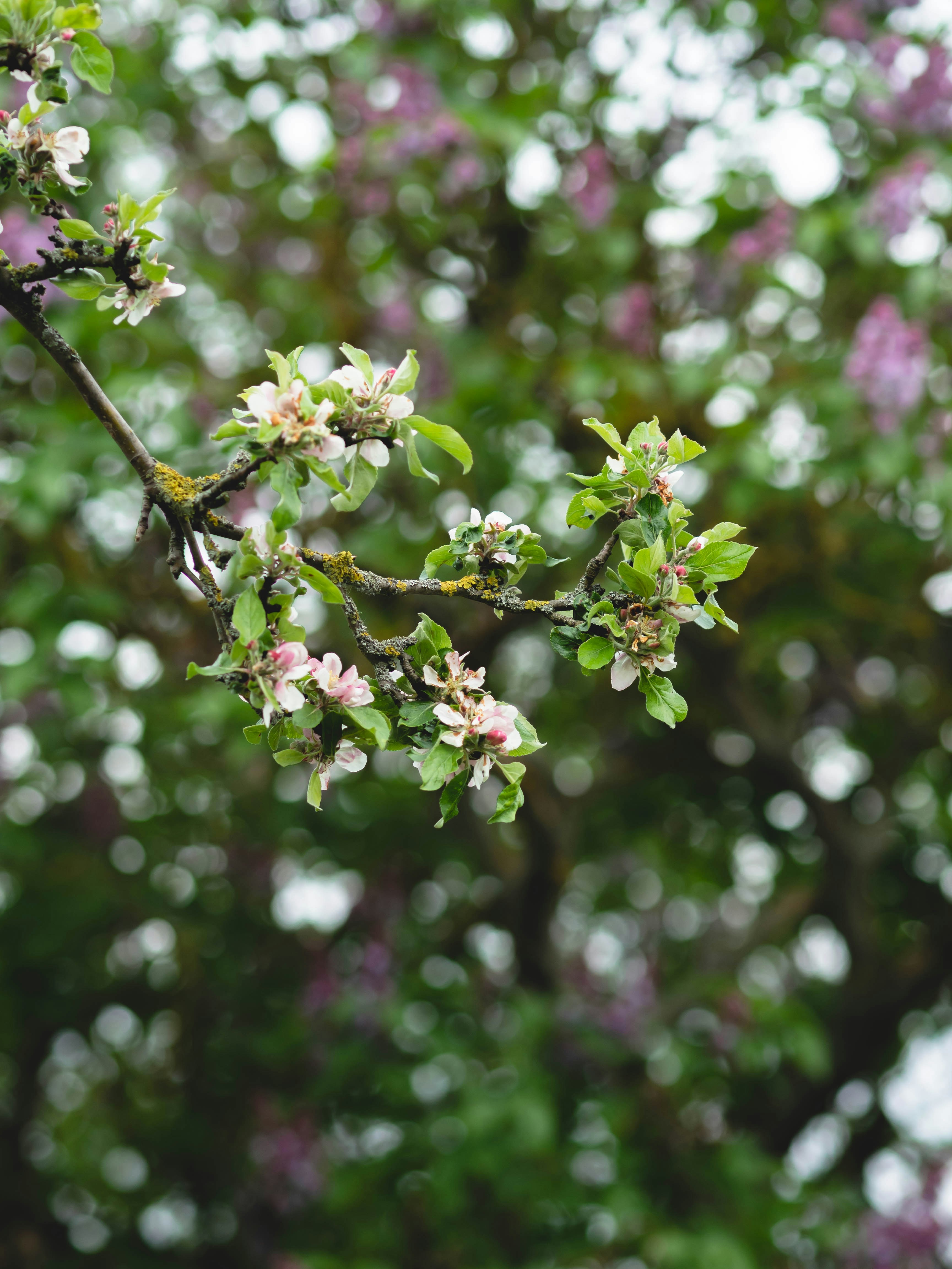 Photo by eileen_kummer