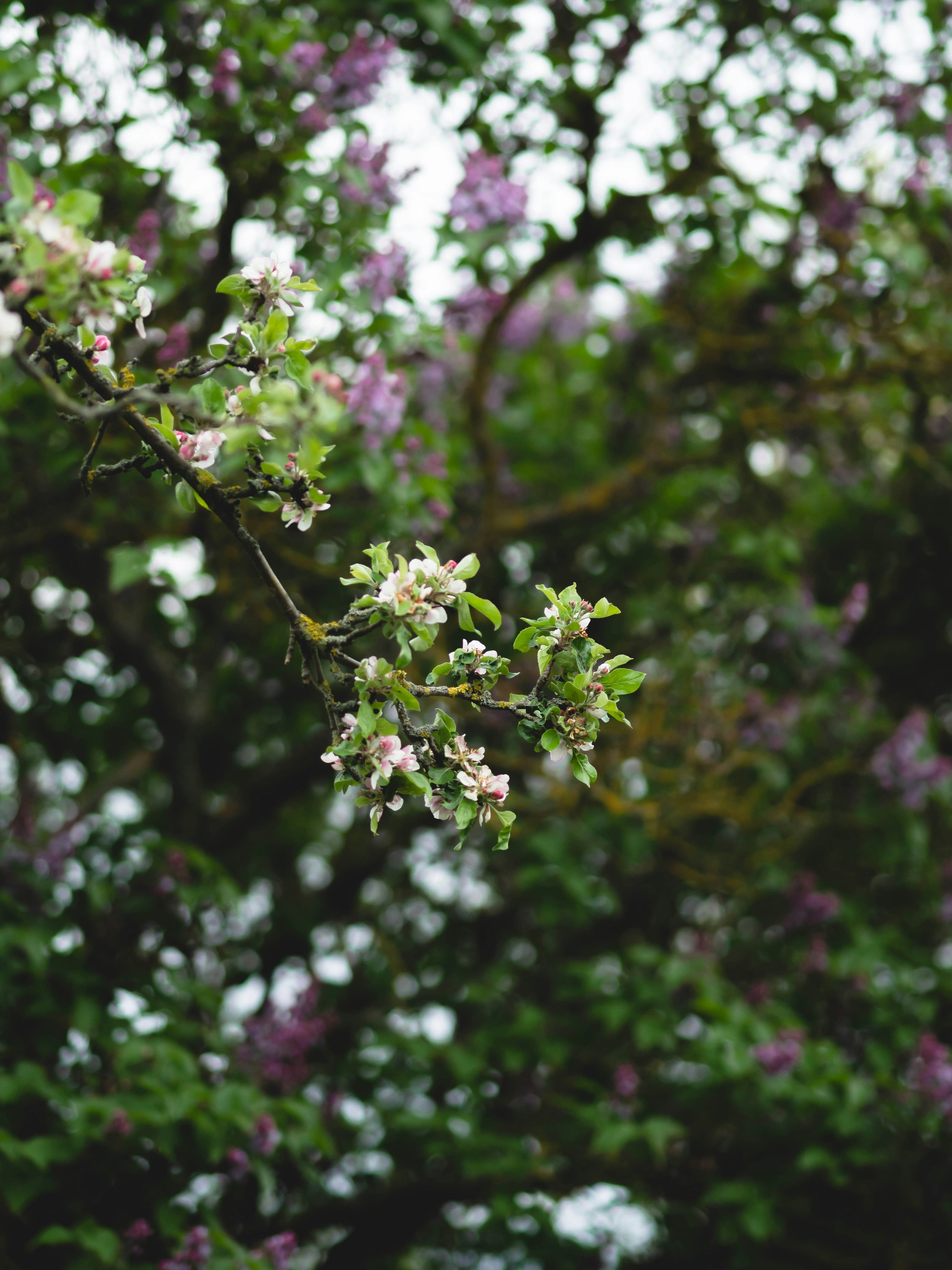 Photo by eileen_kummer