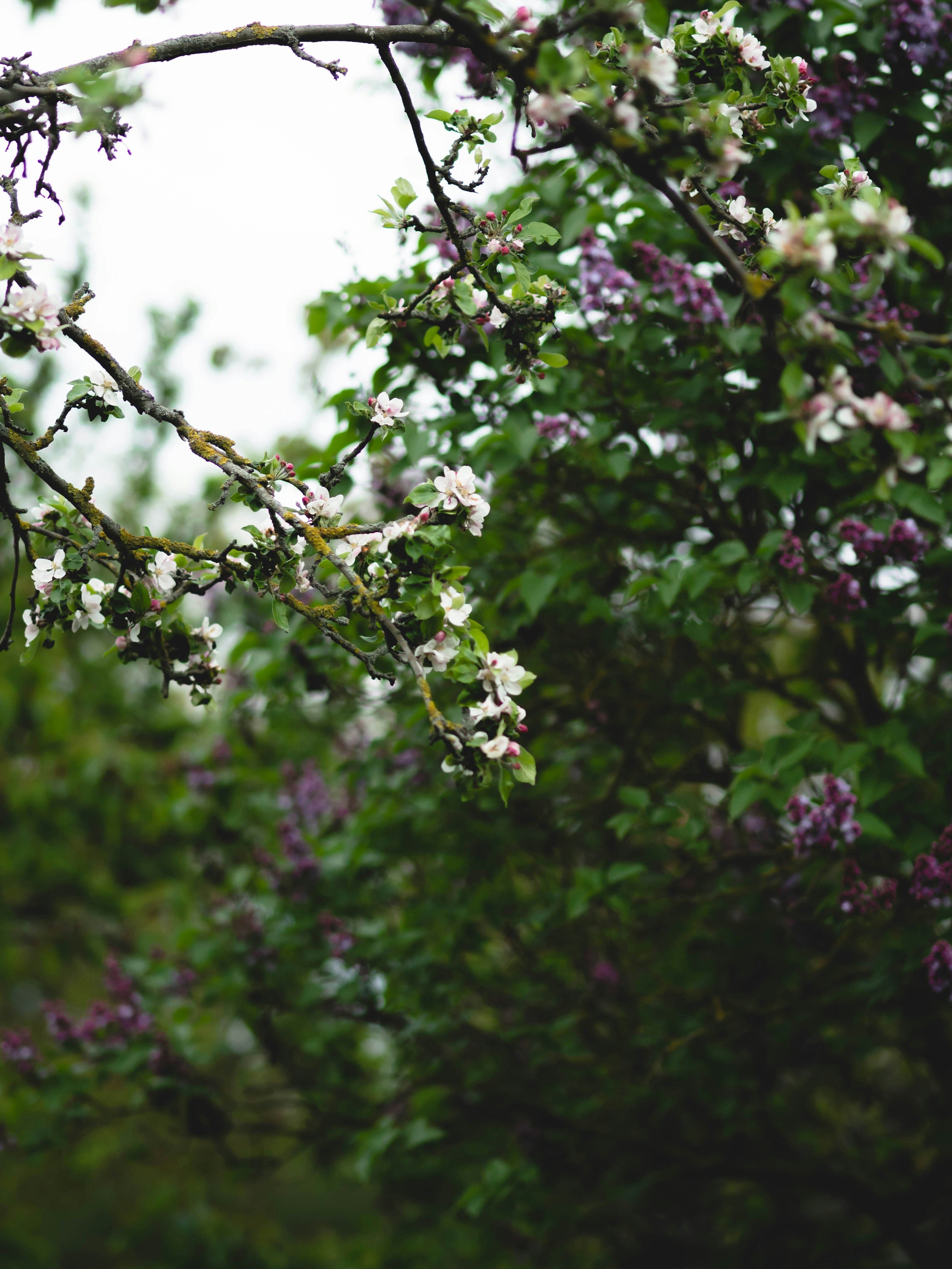 Photo by eileen_kummer