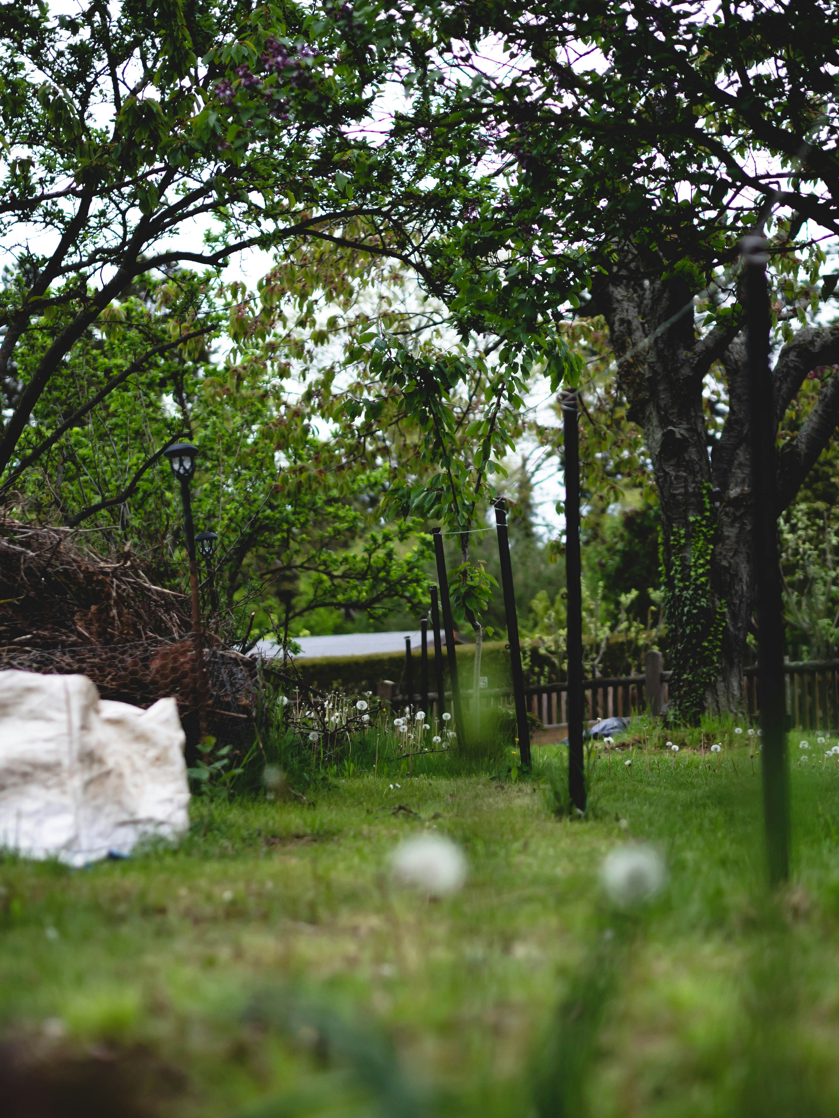Contact Doha Garden Service for Expert Assistance