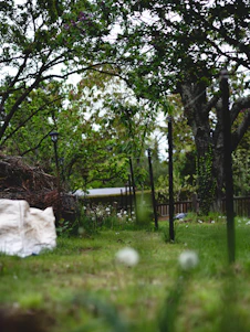 A tidy garden after clearance, showing neatly stacked branches and cleared soil.