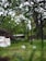 A lush garden scene with tall green trees and a well-maintained lawn. Dandelions are visible scattered throughout the grass. In the background, a wooden fence and leafy shrubs enhance the natural setting. A white sheet or bag is placed on the ground next to a pile of twigs or branches.