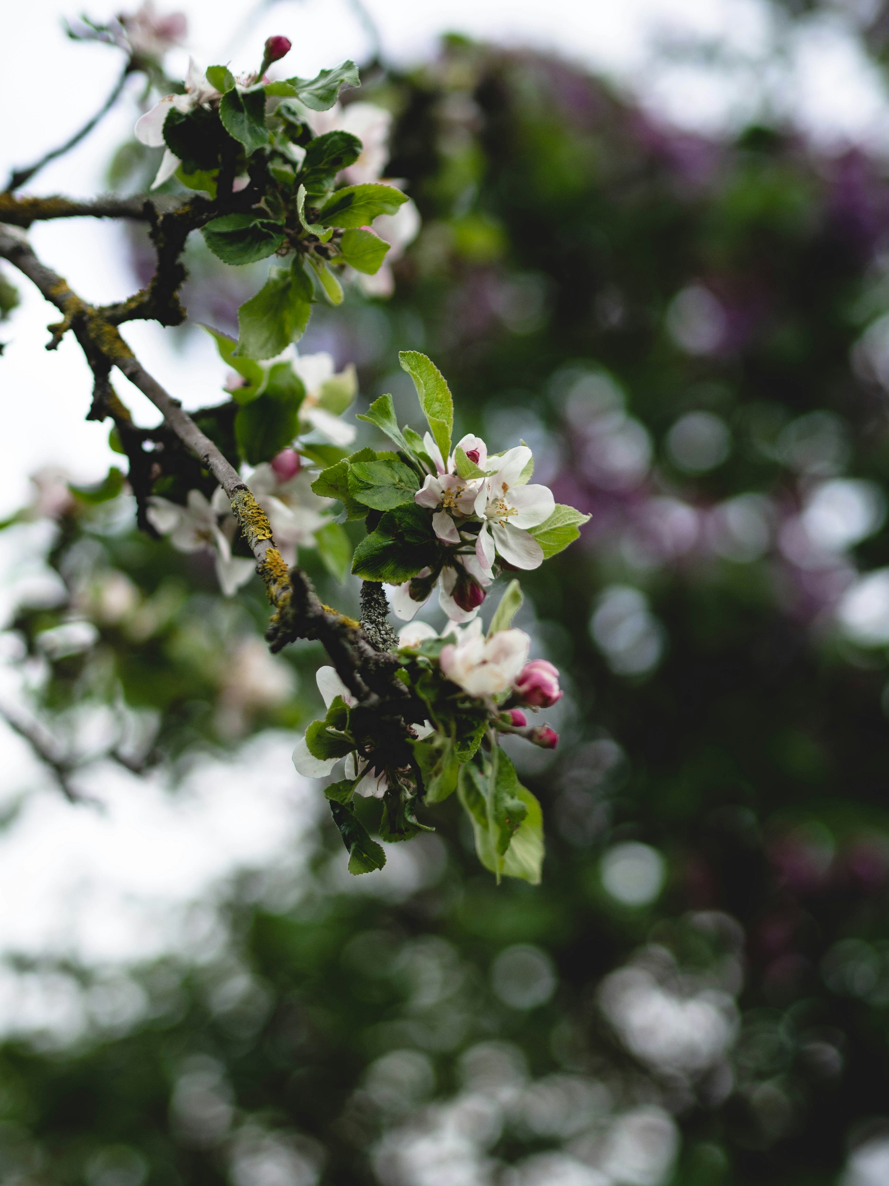 Photo by eileen_kummer