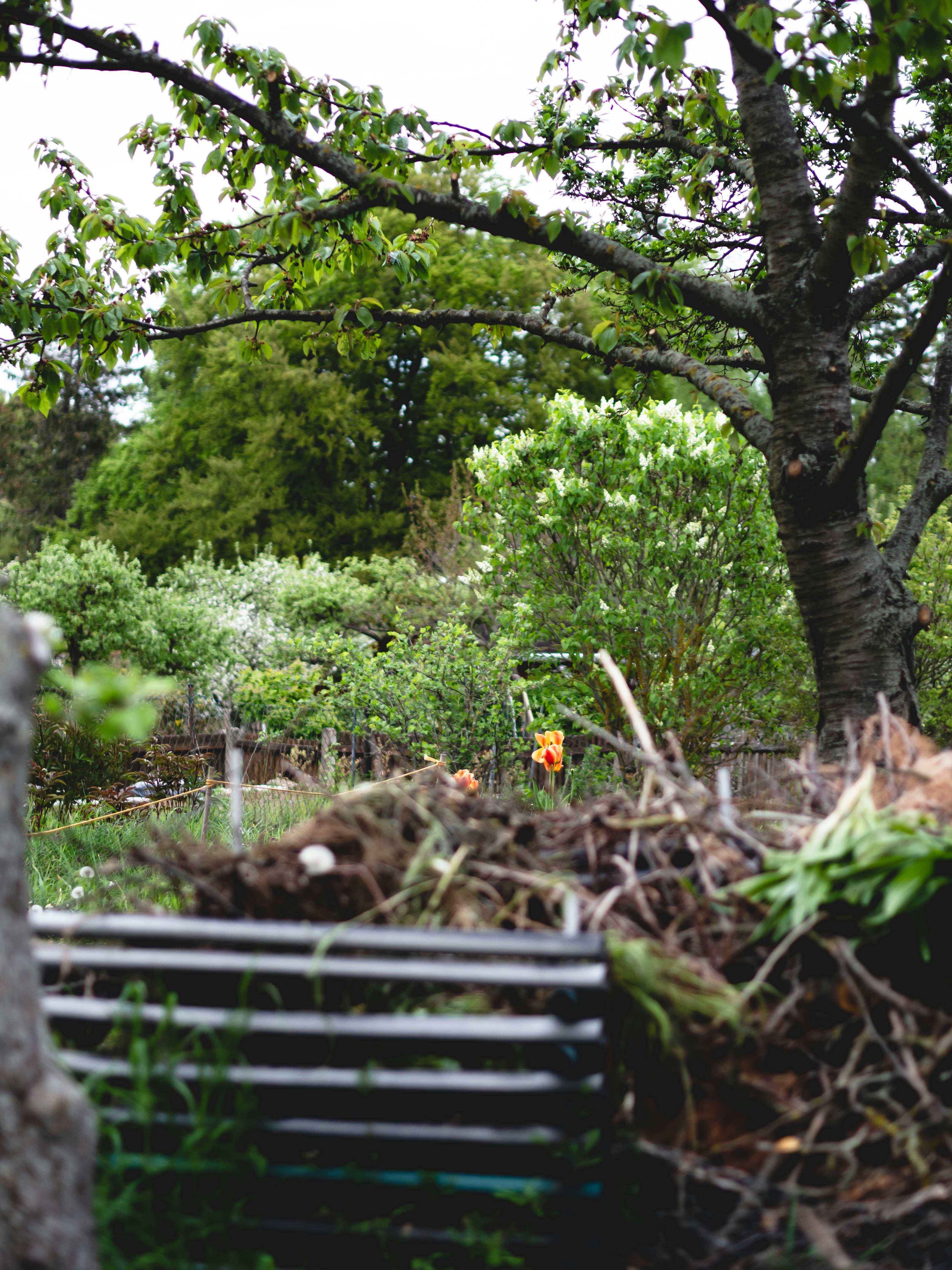 Photo by eileen_kummer