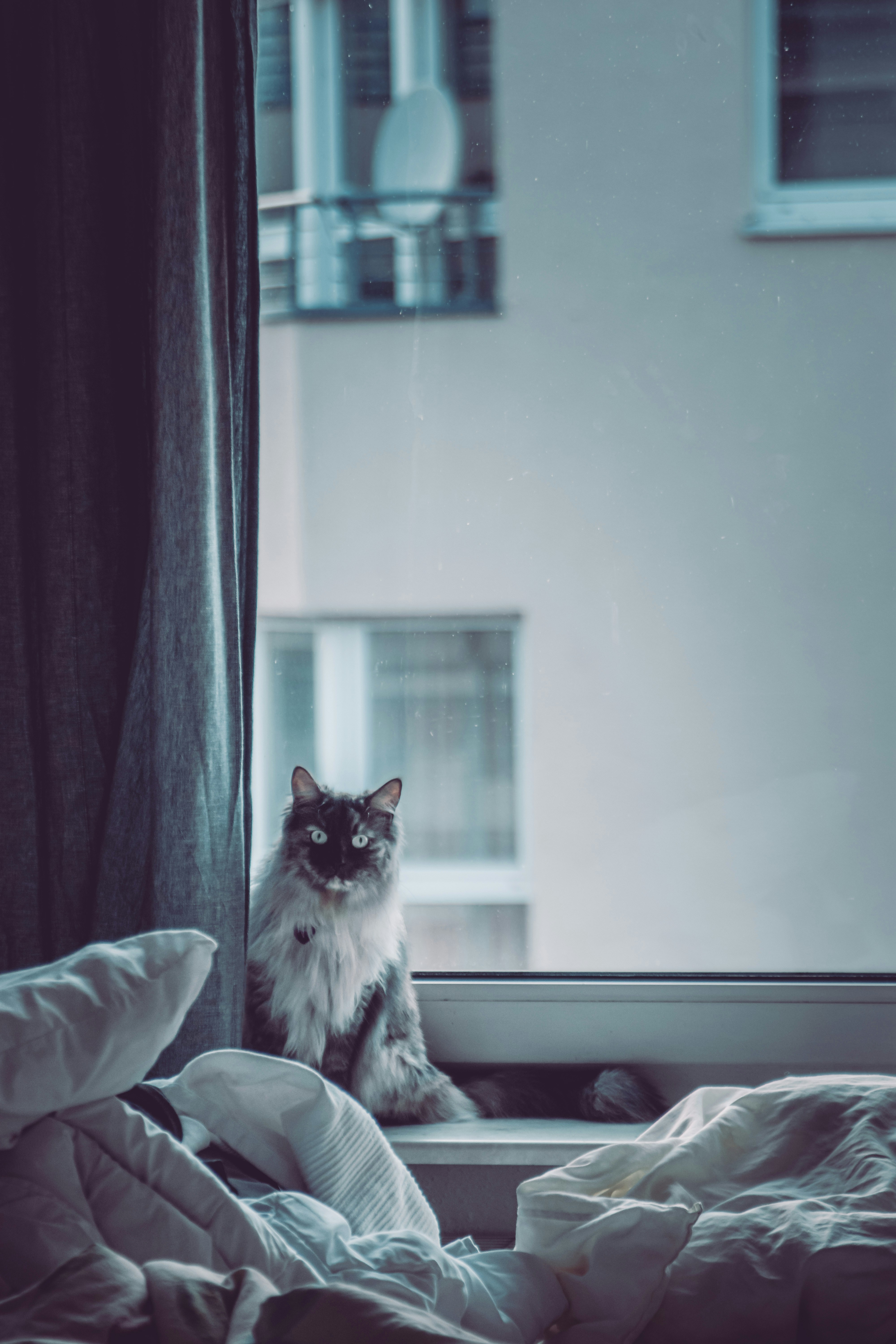 Sensitivity to Overstimulation (image credits: unsplash)