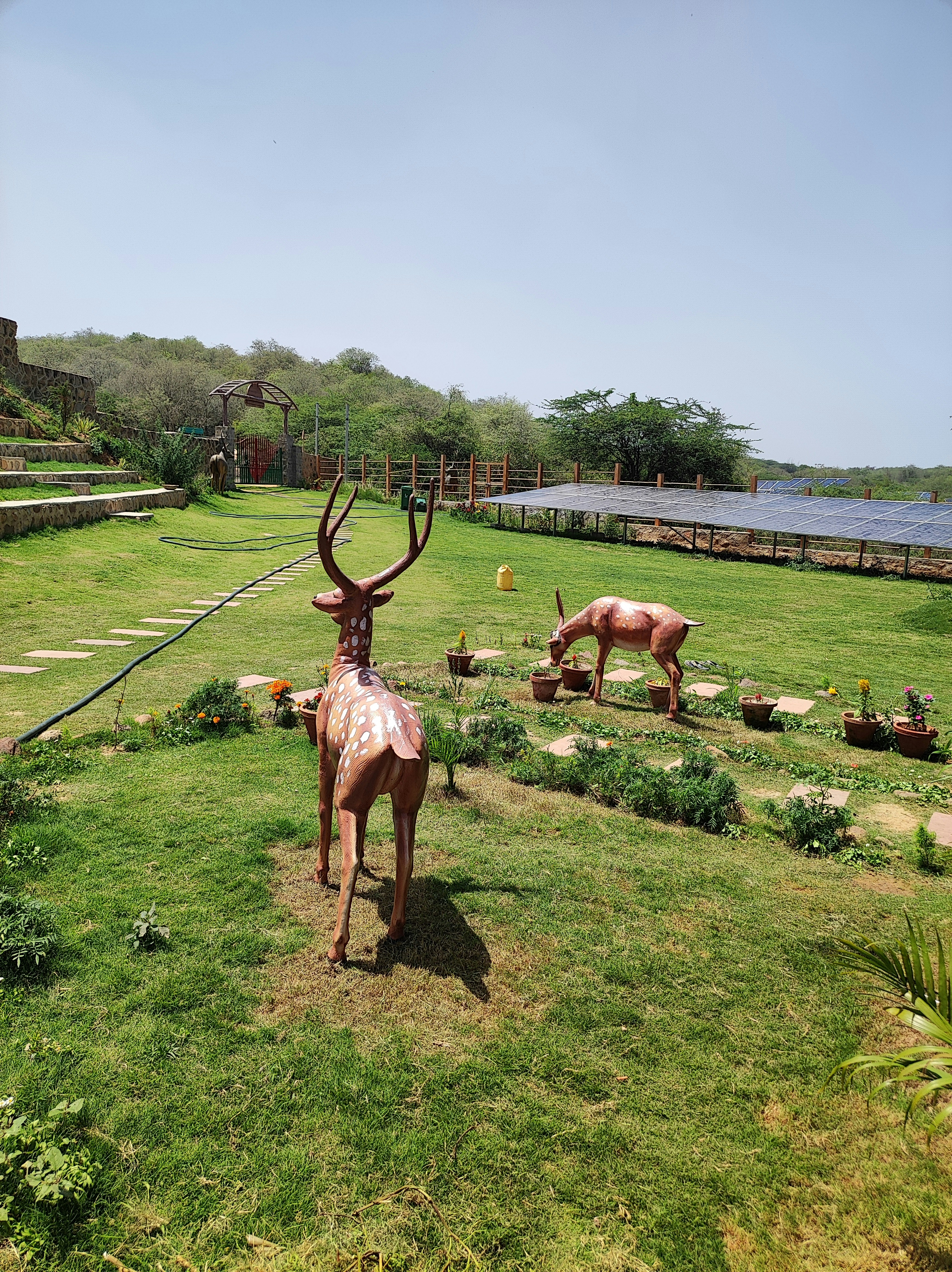 Crie o Jardim dos Seus Sonhos com Soluções de Paisagismo Personalizadas
