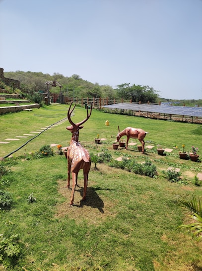 A lush green garden with well-maintained grass and a variety of potted plants. There are two decorative deer statues positioned on the grass. The scene is enriched with solar panels aligned on the right side and a wooden fence in the background. The landscape is set against a backdrop of trees and a clear blue sky.