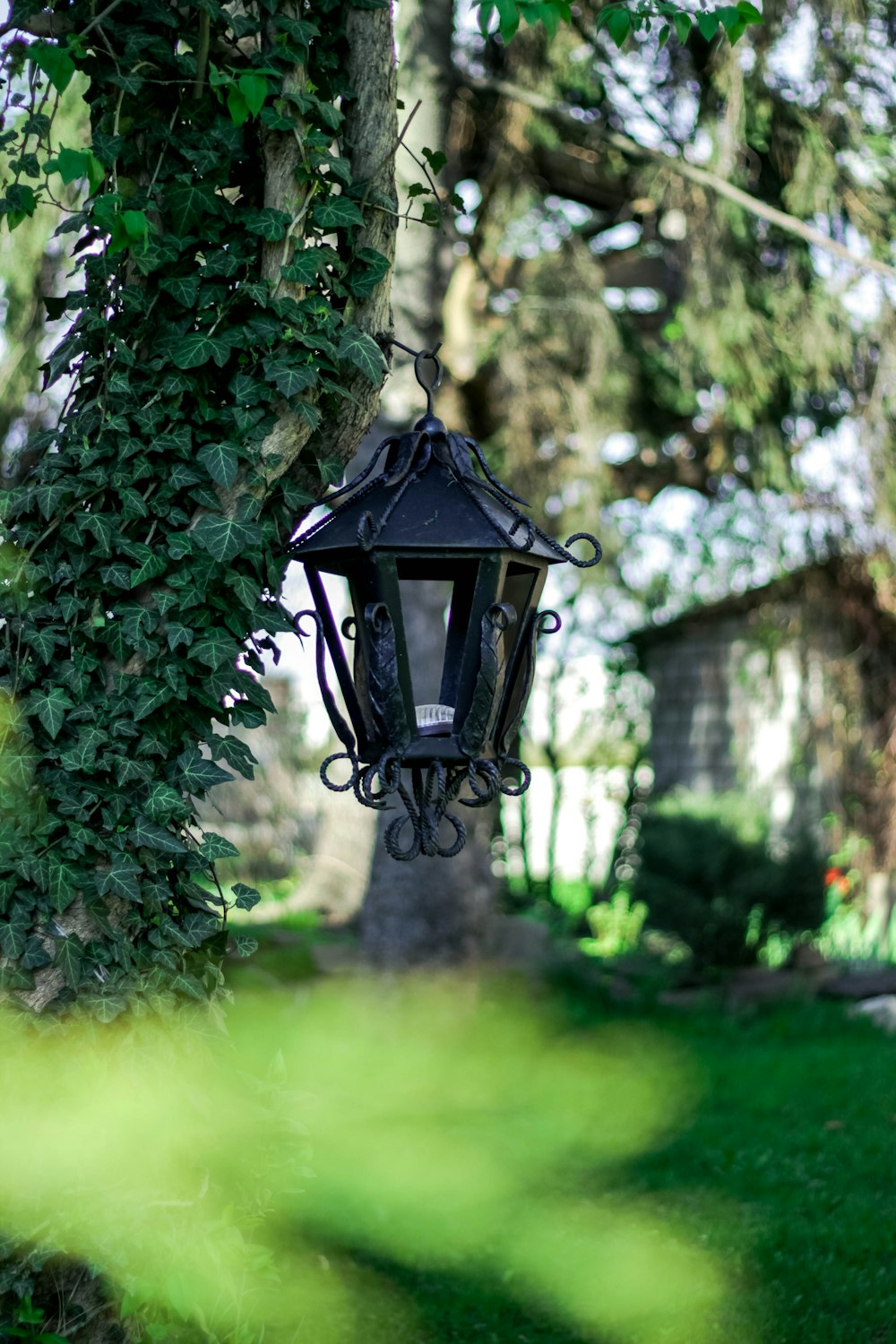 a lamp hanging from a tree in a park
