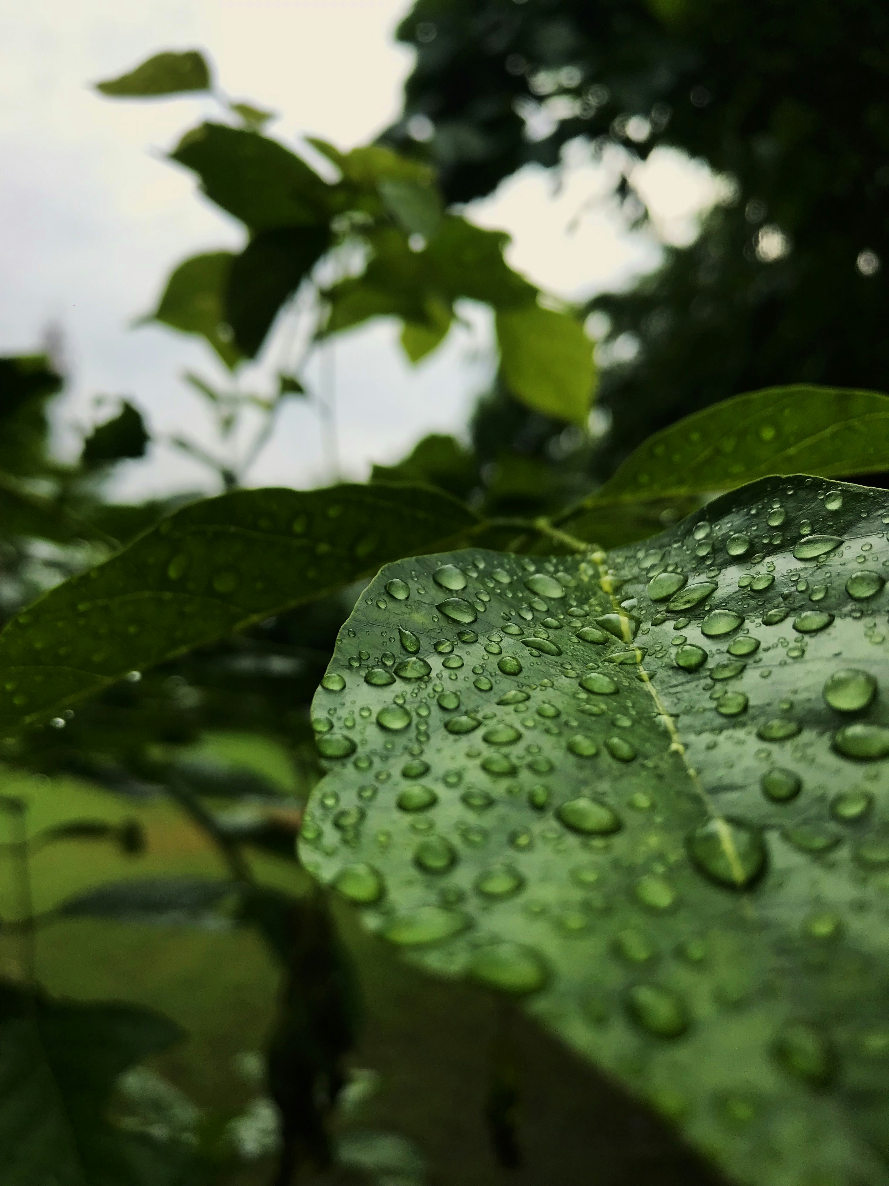 Photo by kevangchauhan324