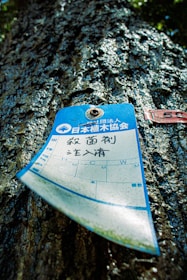 A close-up view of a tree trunk with a blue and white label attached to it. The label features Japanese text and some form of calendar or record, along with a small metal fastener at the top. The tree's bark is dark and textured, with sunlight highlighting the rough surface.