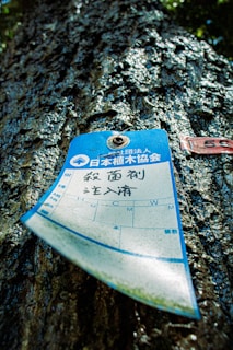 A close-up view of a tree trunk with a blue and white label attached to it. The label features Japanese text and some form of calendar or record, along with a small metal fastener at the top. The tree's bark is dark and textured, with sunlight highlighting the rough surface.