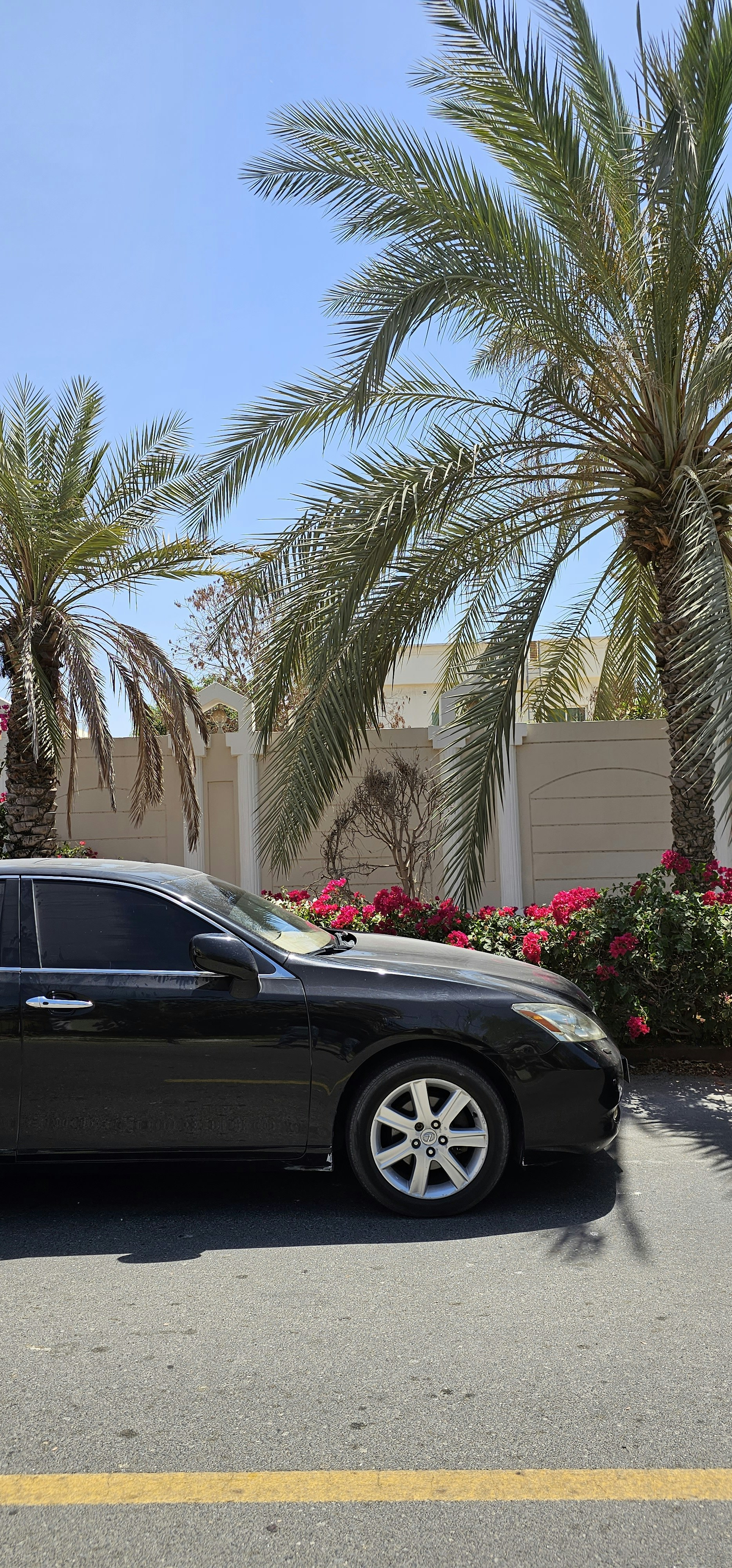 Schedule Your Detail