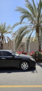 A shiny black SUV parked near a coastal road with palm trees.