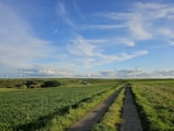 A wind farm generating clean energy in a rural landscape.
