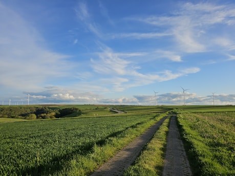 A picturesque landscape with green fields and a dirt path winding through them. Wind turbines stand tall against the backdrop of a blue sky with scattered white clouds. The scene captures a vast expanse of rural farmland.