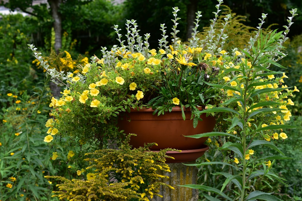 a planter filled with lots of yellow flowers