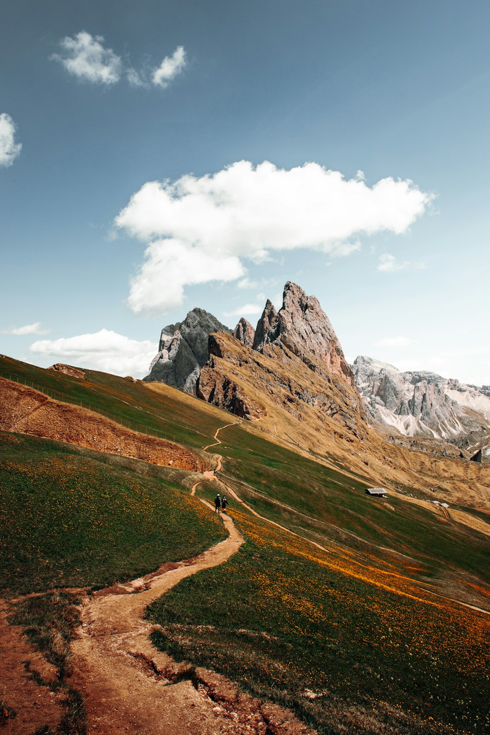 a dirt road in the middle of a grassy field