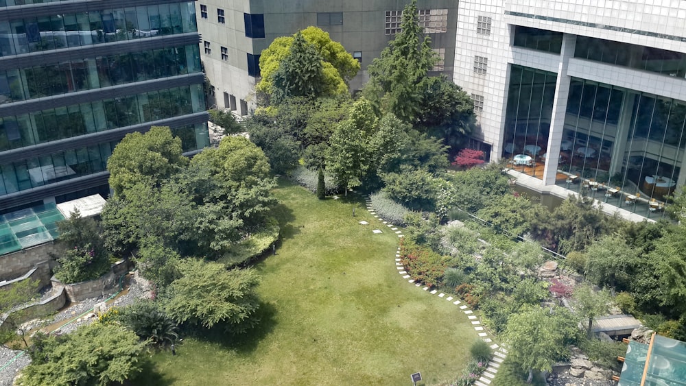 an aerial view of a park in a city