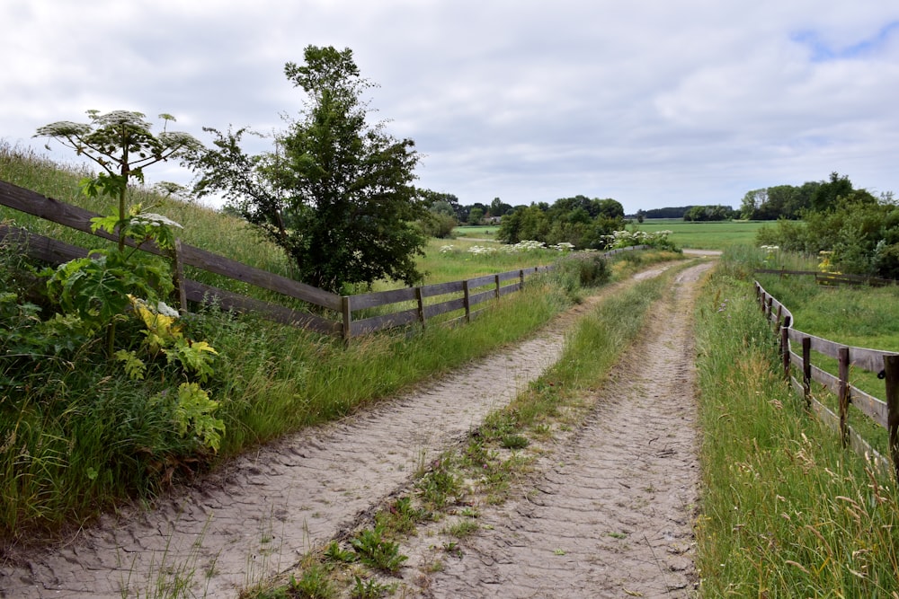 a dirt road with a wooden fence next to it