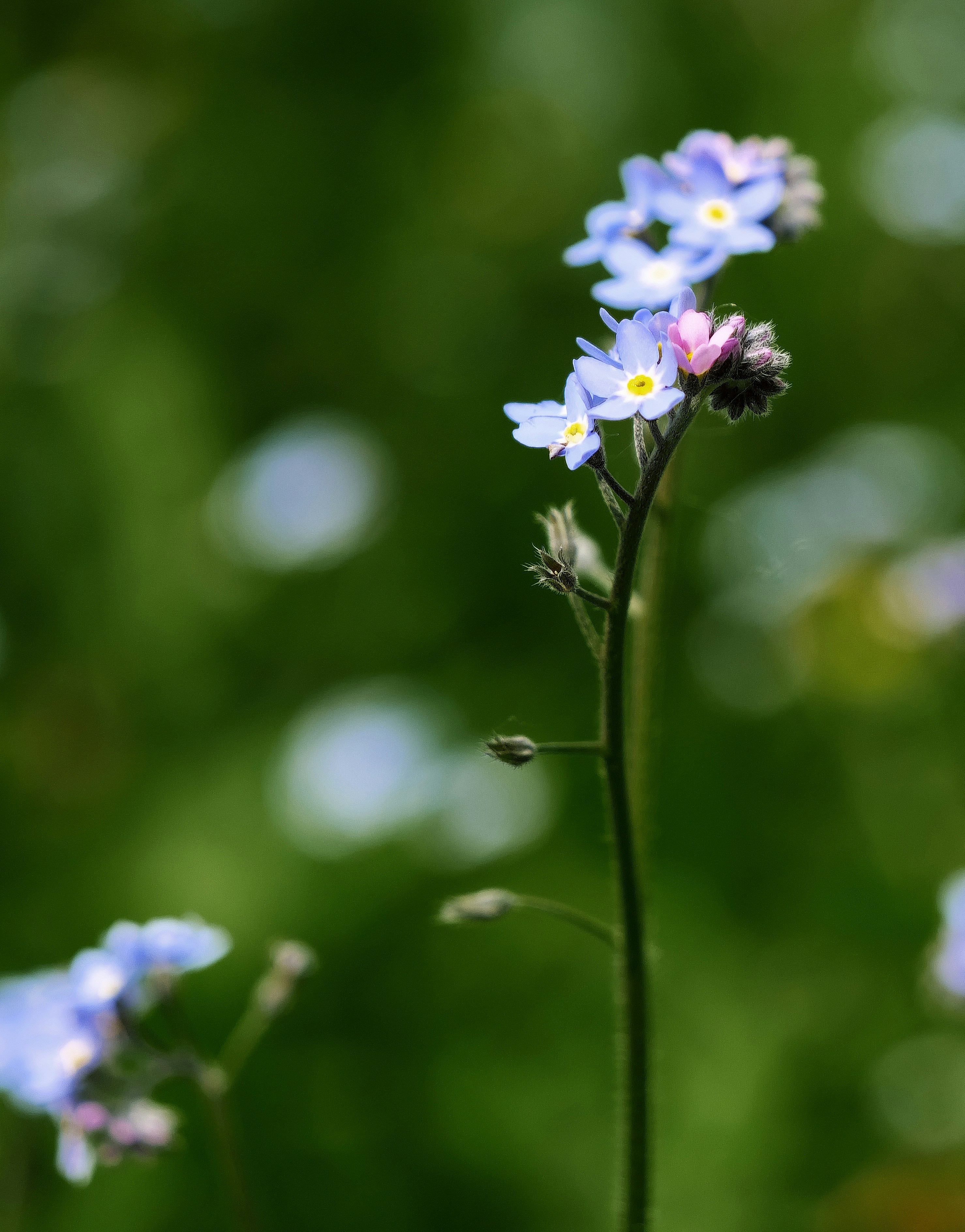 Photo by balmy_sunset