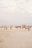 A group of diverse athletes practicing futevôlei on a sunny beach.