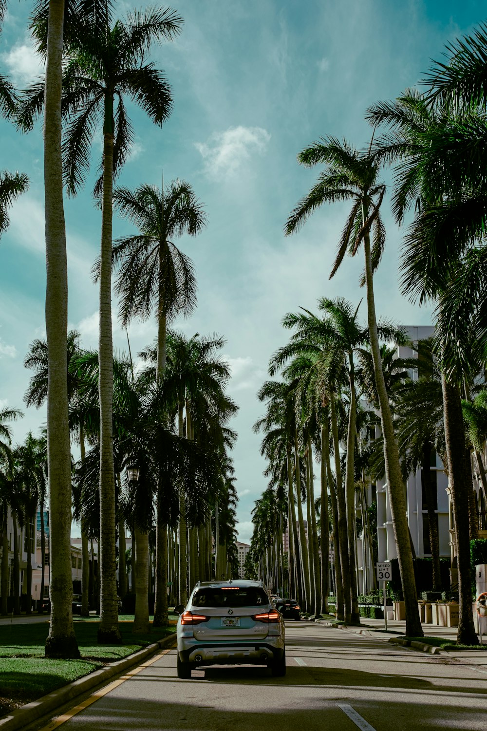 a car driving down a street lined with palm trees