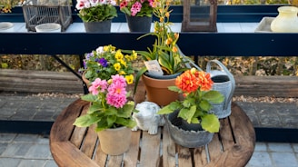 Colorful flower pots arranged on a rustic wooden table with fresh plants inside.