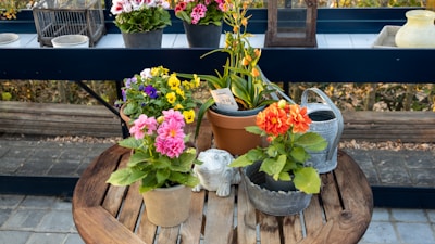 Colorful flower pots arranged on a rustic wooden table with fresh plants inside.