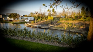 A peaceful landscape featuring a canal bordered by neatly trimmed hedges and green lawns. Modern white houses with large windows overlook the water, and a wooden platform and staircase lead down to the canal. Trees with sparse leaves are scattered throughout, indicating a transition between seasons.