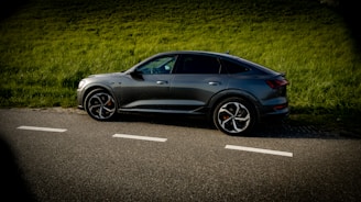 A sleek, modern car parked on a scenic road surrounded by greenery.