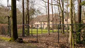 A rustic house is surrounded by tall leafless trees with a metal fence in the foreground. The ground is covered in fallen leaves, and hints of green grass are visible near the house. The scene is set in a wooded area with a peaceful and secluded atmosphere.