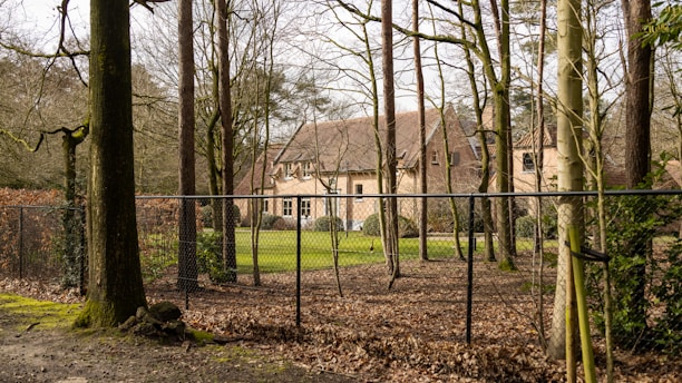 A rustic house is surrounded by tall leafless trees with a metal fence in the foreground. The ground is covered in fallen leaves, and hints of green grass are visible near the house. The scene is set in a wooded area with a peaceful and secluded atmosphere.