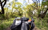 A scenic path surrounded by lush greenery and trees extends into the distance. In the foreground, bicycle handlebars can be seen, complete with a mounted water bottle and a small storage pouch, suggesting a cycling adventure through nature.