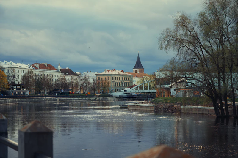 Best Time to Visit Krakow: Month-by-Month Guide for Every Type of Traveller