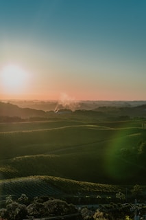 A serene landscape at sunrise or sunset, featuring rolling green hills covered with vineyards. A small plume of smoke rises in the distance, and the sun casts a soft, warm glow over the scene.