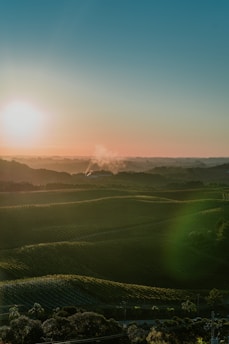 A serene landscape at sunrise or sunset, featuring rolling green hills covered with vineyards. A small plume of smoke rises in the distance, and the sun casts a soft, warm glow over the scene.