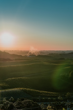 A serene landscape of Viñales valley with lush green tobacco fields and distant mountains at sunrise.
