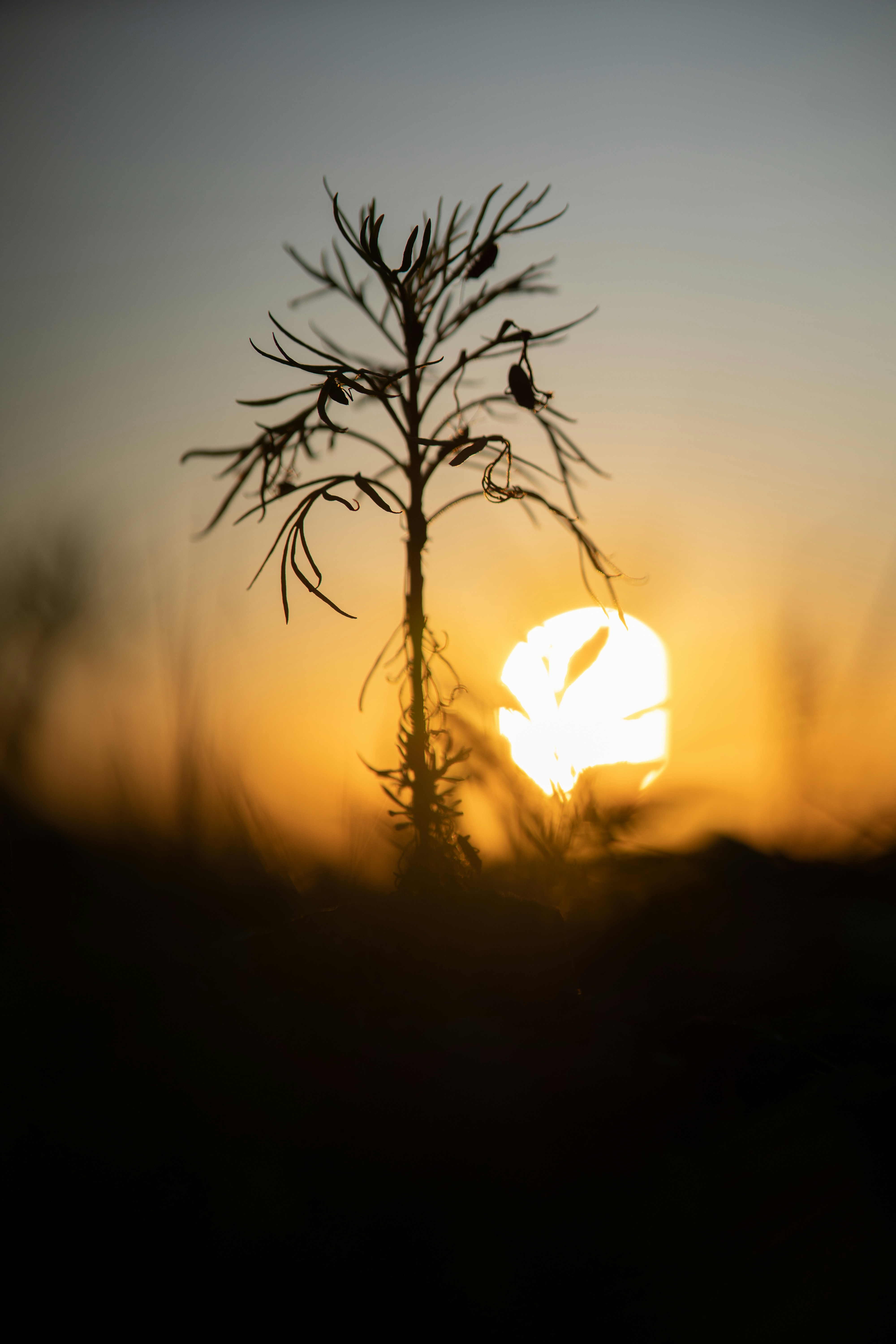 Photo by katalinsalles