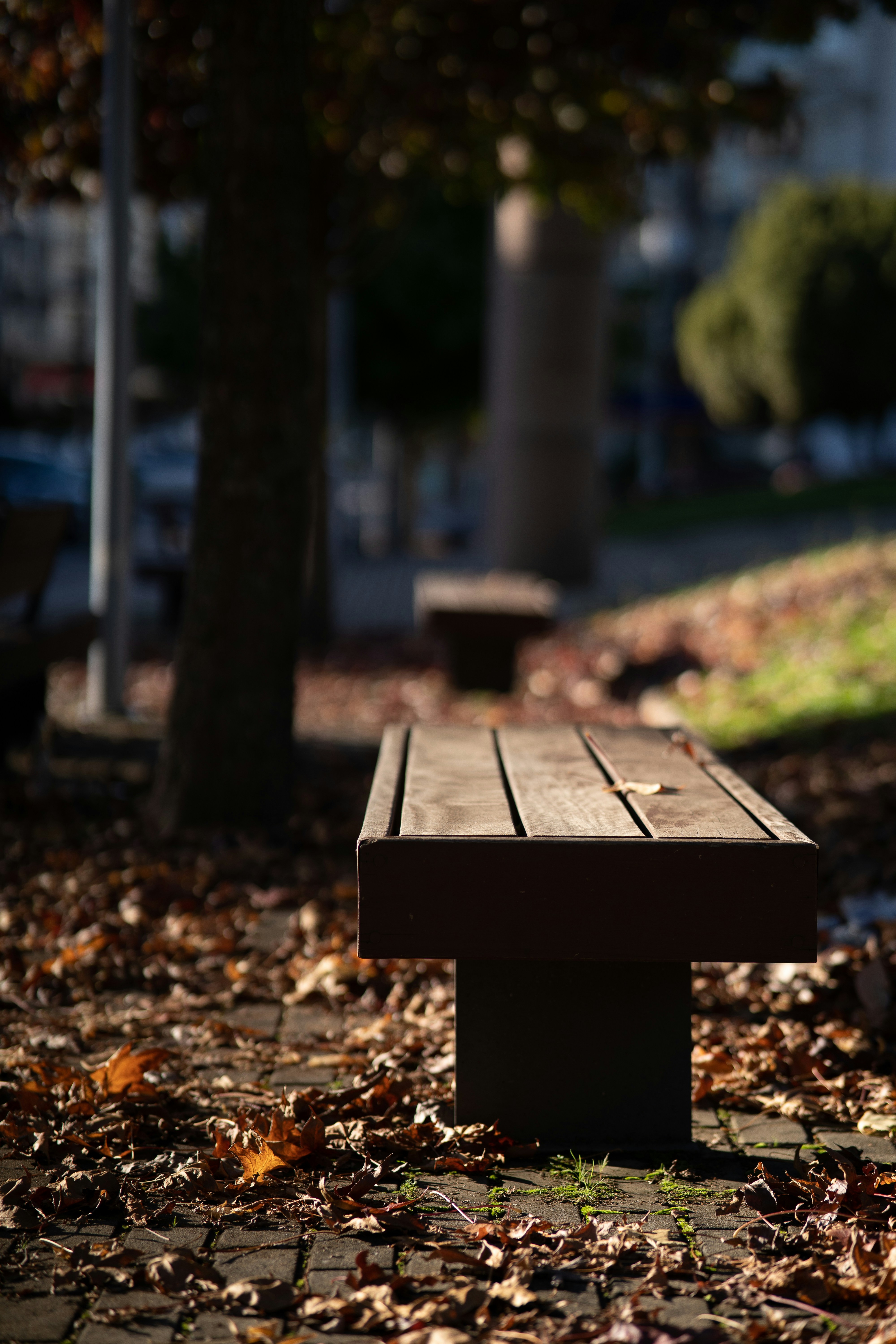 Photo by katalinsalles