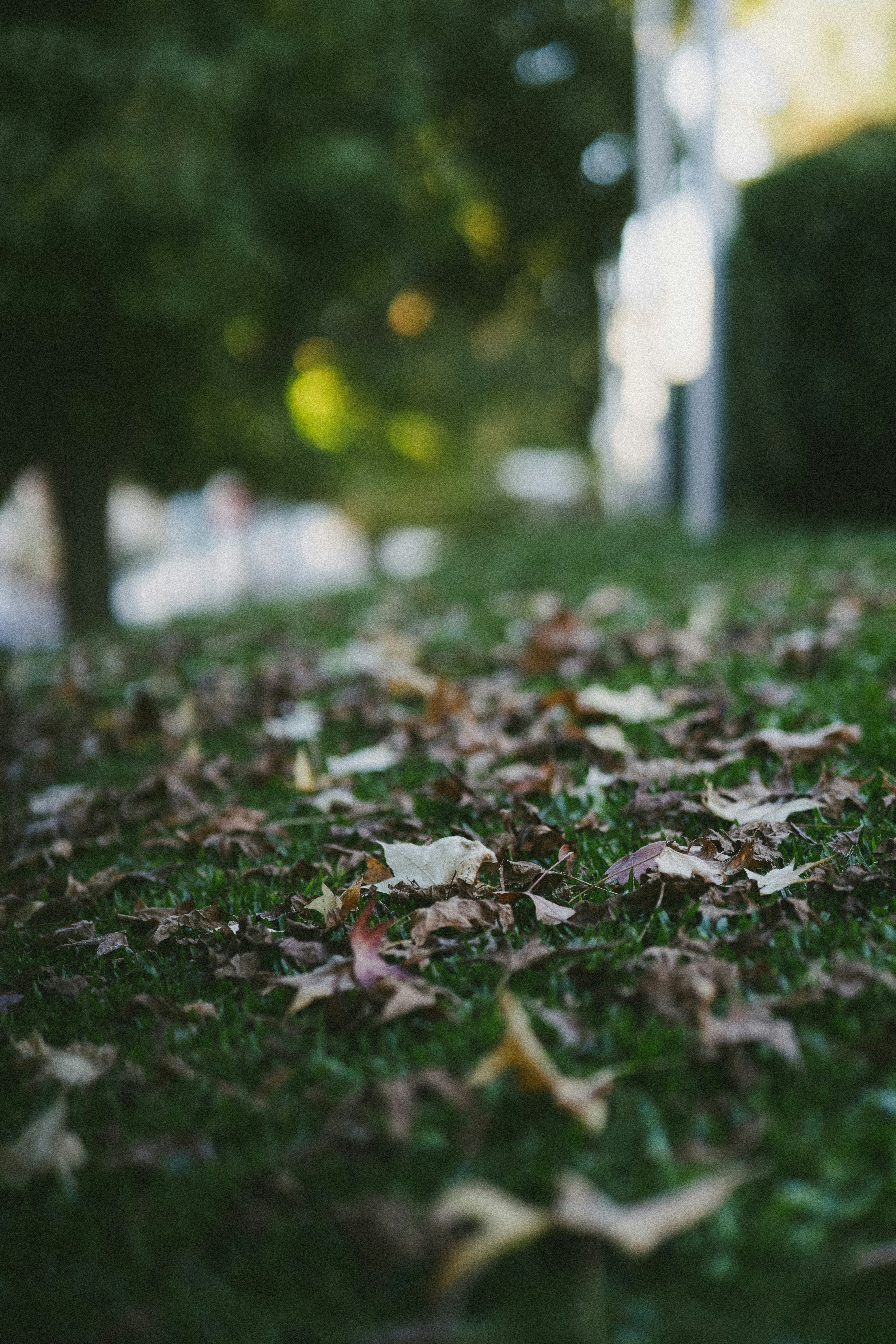 Photo by katalinsalles