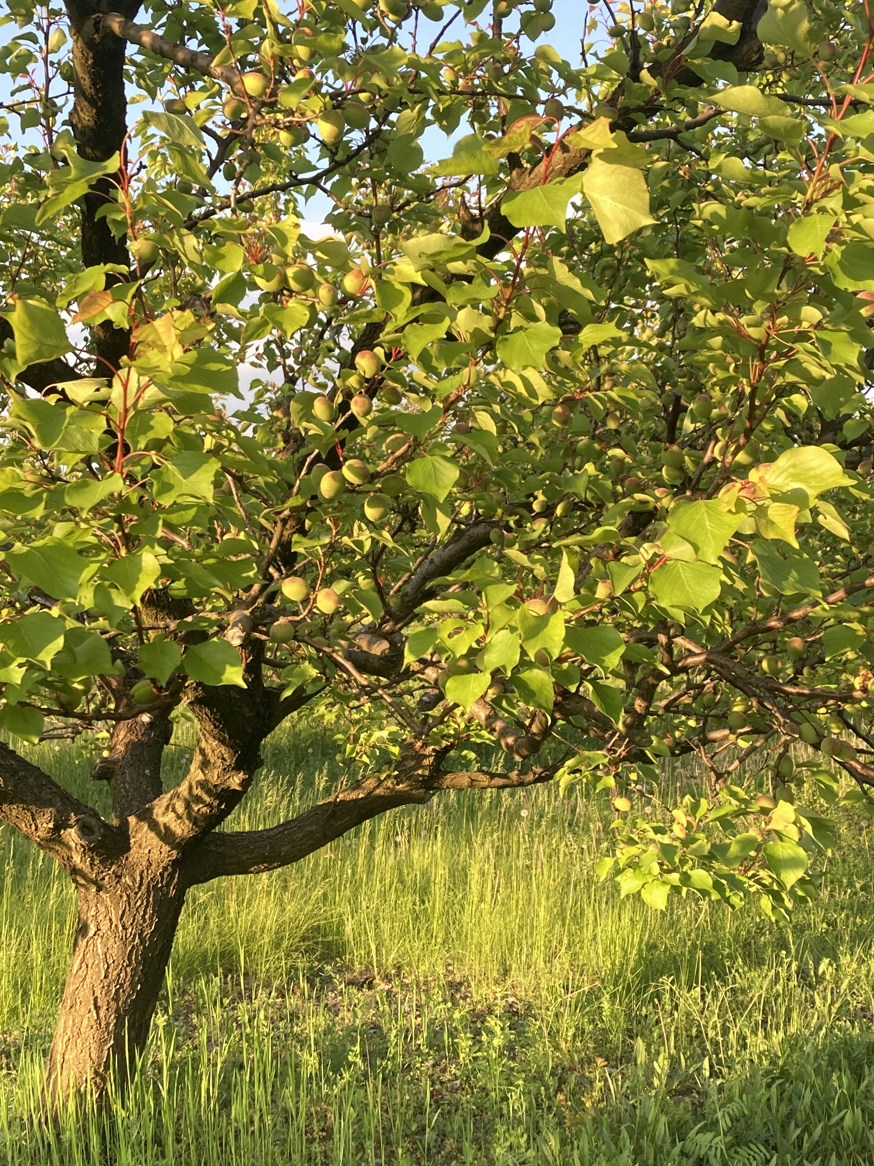 photo-1683911004804-bfe1dee2b1ff