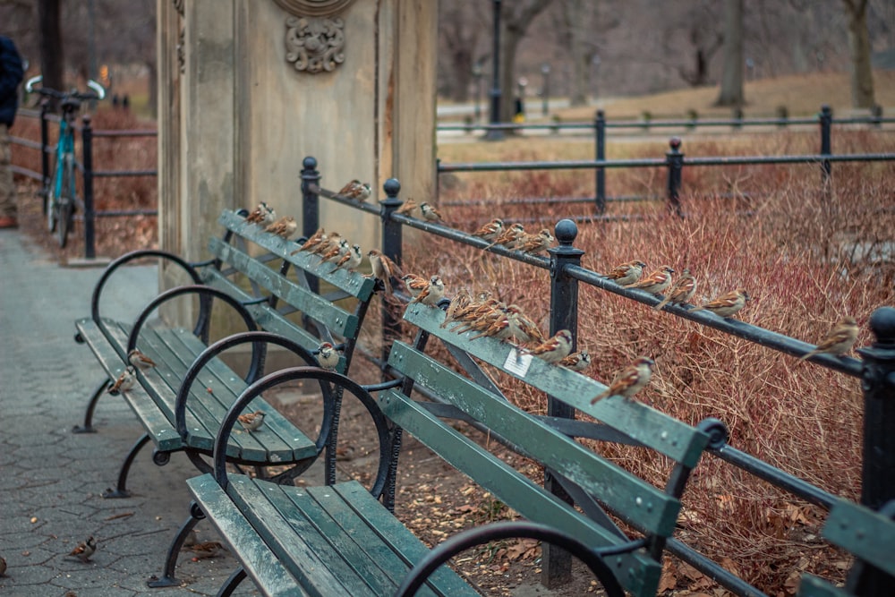 a couple of benches sitting next to each other