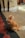 A fluffy orange and white cat sits on a combination of tiled surfaces, including red and black checkered tiles and beige stone tiles. The setting appears to be near an architectural structure with stone pillars and walls.